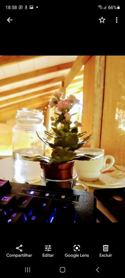 Villa Morena Benessere フロリアノポリス ベッド・アンド・ブレックファスト