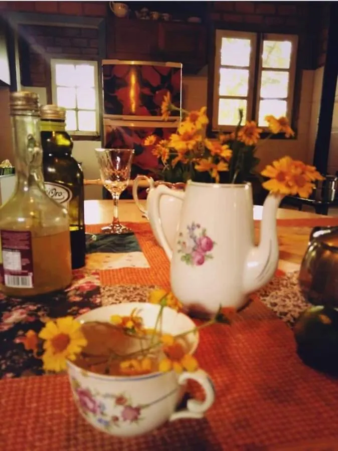 Villa Morena Benessere フロリアノポリス