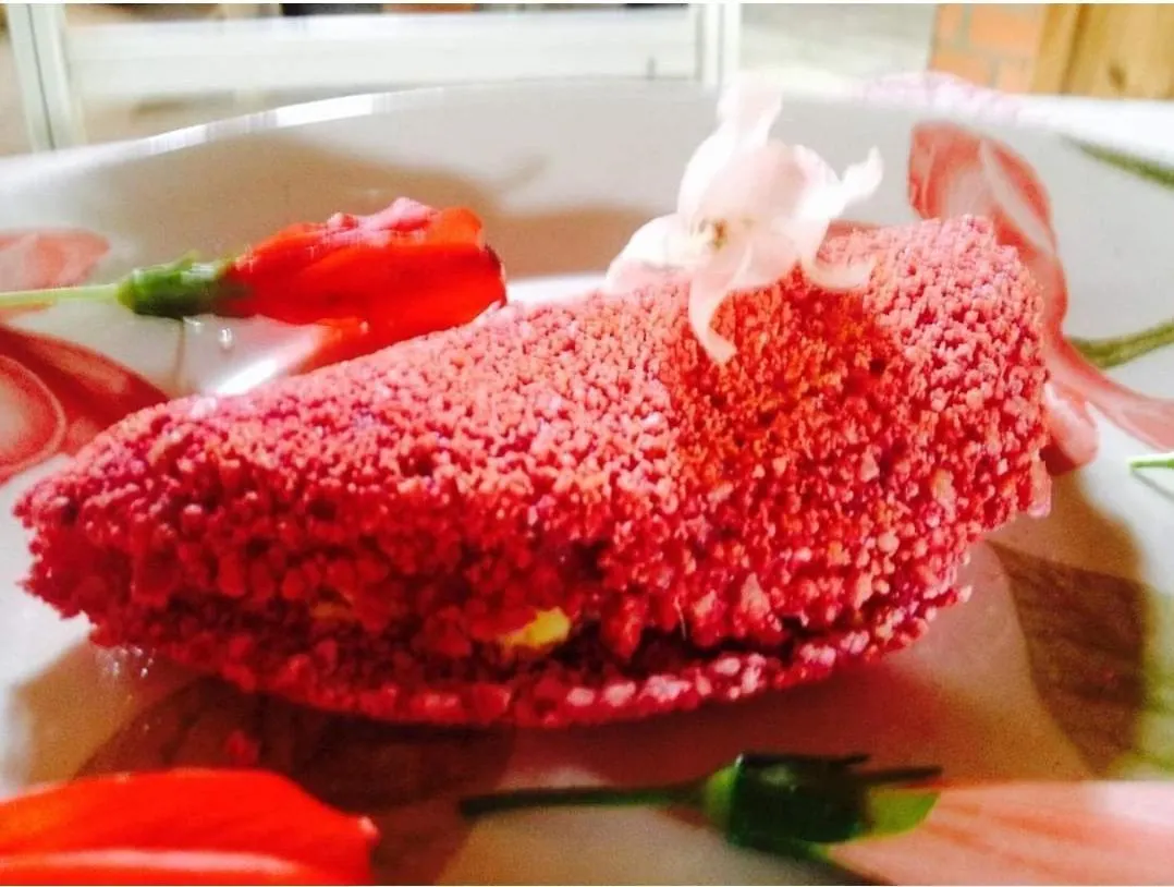 Villa Morena Benessere フロリアノポリス