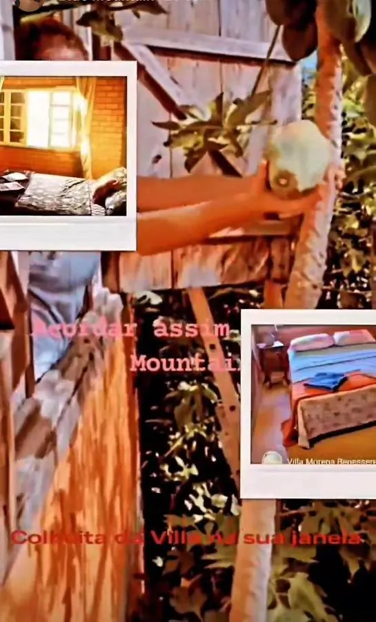 Villa Morena Benessere フロリアノポリス ベッド・アンド・ブレックファスト