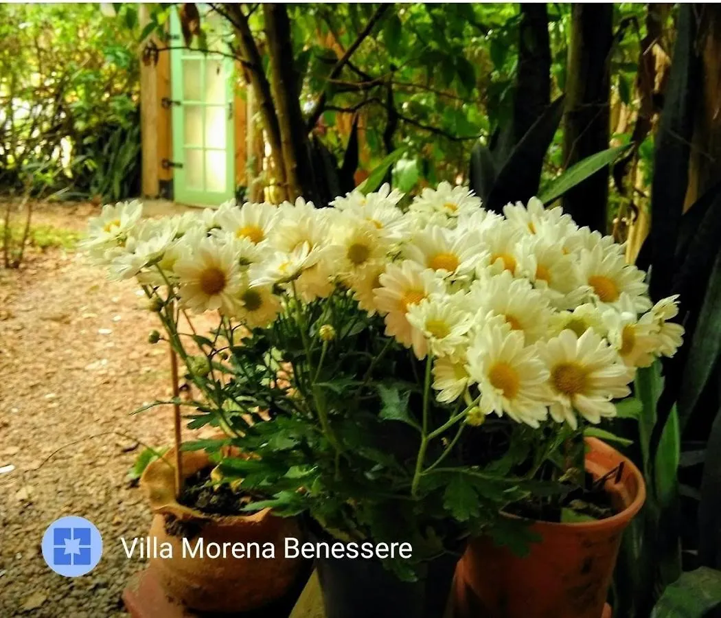 Frühstückspension Villa Morena Benessere Florianópolis
